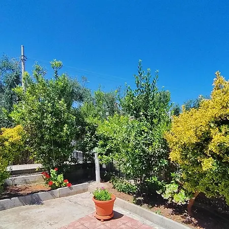 公寓 Elvira 维耶斯泰